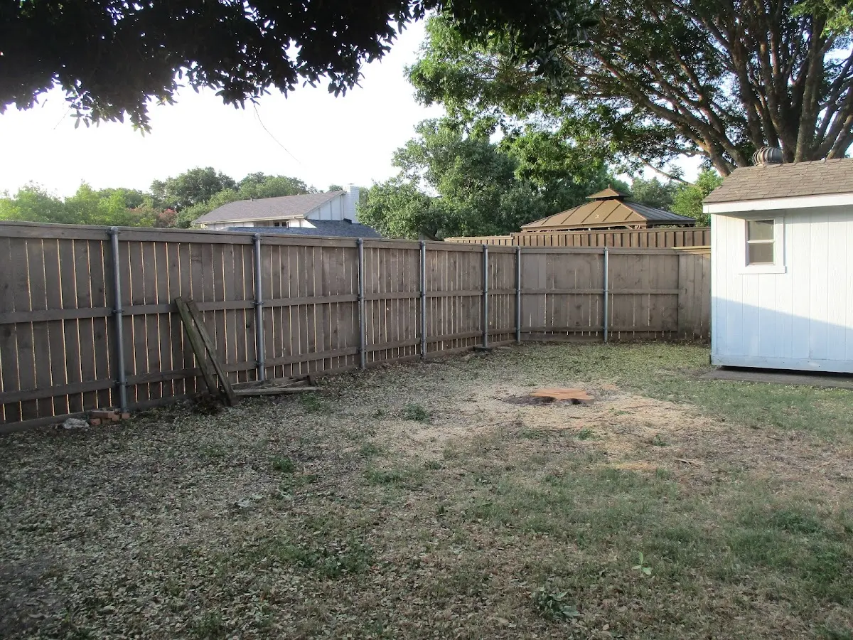 Cleared yard after professional tree removal in Coweta