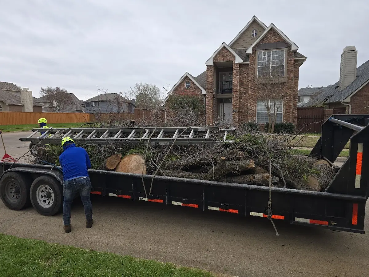 Expert Tree Pest Control with proper safety equipment in Coweta